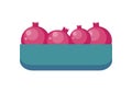 Pomegranates in Tray Flat Design Illustration.