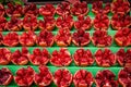 Pomegrante in grocery shop of Phuket, Thailand Royalty Free Stock Photo
