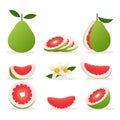 Pomelo cartoon style