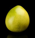 Pomelo, chinese grapefruit isolated on black