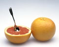 Pomelo Fruit, citrus paradisi Royalty Free Stock Photo