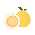 Pomelo fruit tropical exotic citrus, vector isolated illustration. Pummelo or shaddock fruits half cut and whole.