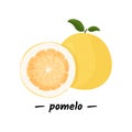 Pomelo fruit tropical exotic citrus, vector isolated illustration. Pummelo or shaddock fruits half cut and whole.