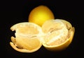 Pomelo fruit Royalty Free Stock Photo