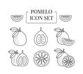 Pomelo fruit whole and half, cut into slices, set of line icons in vector.