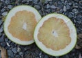 Pomelo half cut on the ground