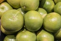 pomelo harvest. green grapefruits set. background of green fruits