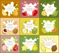 Pomelo and Lychee Posters Set Vector Illustration
