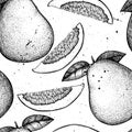 Seamless pattern with hand drawn pomelo illustrations. Vector citrus background. Summer fruits drawing for logo, icon, label, pack