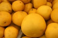 Pomelo, pummelo, Shaddok, Citrus maxima