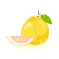 Pomelo or shaddock whole with green leaf and segment of it. Yellow sweet largest citrus fruit.