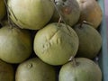 Pomelo From Thailand fruit Ready to eat From the tree In the garden Yellow gold Royalty Free Stock Photo