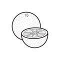 Pomelo. Vector illustration decorative background design