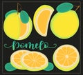 Pomelo - Whole and pieces. Vector stock illustration. Colored fruit set isolated on black background