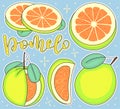 Pomelo, Whole and pieces. Vector stock illustration - Colored fruit set
