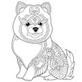 Pomeranian dog coloring page