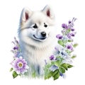 Pomeranian dog with flowers isolated on white background. Watercolor illustration. Generative AI Generative AI Royalty Free Stock Photo