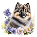 Pomeranian dog with flowers. Watercolor illustration isolated on white background. Generative AI Generative AI Royalty Free Stock Photo