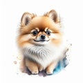 Pomeranian dog isolated on white background. Watercolor painting. generative AI Generative AI Royalty Free Stock Photo