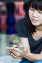 Pomeranian dog with women