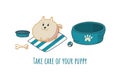 Pomeranian puppy with toys. Vector illustration