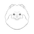 Pomeranian or Spitz dog easy coloring cartoon vector illustration. Isolated on white background