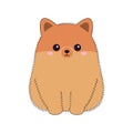 Pomeranian Spitz dog sitting. Orange puppy face head line contour silhouette icon. Doodle animal pet icon. Cute kawaii cartoon