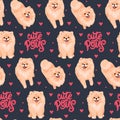 Pomeranian Spitz puppy seamless pattern. Small German spitz all over print background.