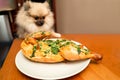 Pomeranian spitz steals grilled chicken from the table