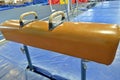 Pommel Horse side view Royalty Free Stock Photo