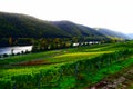 Pommern, Germany - 10 21 2020: Autumn colors of the lower vineyards