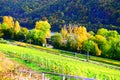 Pommern, Germany - 10 20 2020: autumn vineyards with railroad track