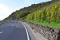 Pommern, Germany - 10 21 2020: Bad old road at autumn vineyards