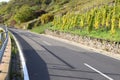 Pommern, Germany - 10 21 2020: Road curve with vineyard inside