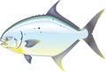 Pompano Florida fish vector illustration Royalty Free Stock Photo