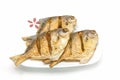 Pompano Fried isolate on white background.