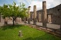 Pompei - Ancient Rome - House of Octavius Quatro