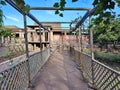 Pompei - Pergolato del giardino della Casa di Ottavio Quartione