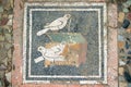 Pompeian mosaic. Pompeii (Naples - Italy) Royalty Free Stock Photo