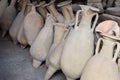Pompeii amphoras