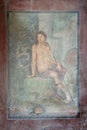 Pompeii fresco, Naples (Italy) Royalty Free Stock Photo