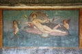 Pompeii fresco, Naples (Italy) Royalty Free Stock Photo