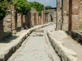 Pompeii, Italy Royalty Free Stock Photo