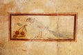 Fresco paintings on ancient Roman walls