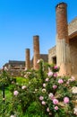 Pompeii ruins: Columns behind beautiful pink roses