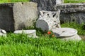 Pompeii ruins: remains of ancient columns lying on grass with poppies