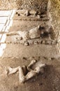 Pompeii victims