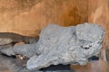 Pompeii victims covered by volcanic ash