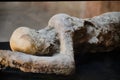 Pompeii victims covered by volcanic ash