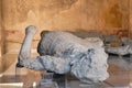 Pompeii victims covered by volcanic ash